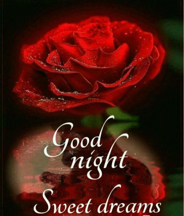 good night wishes