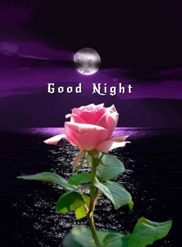 лунные цветы