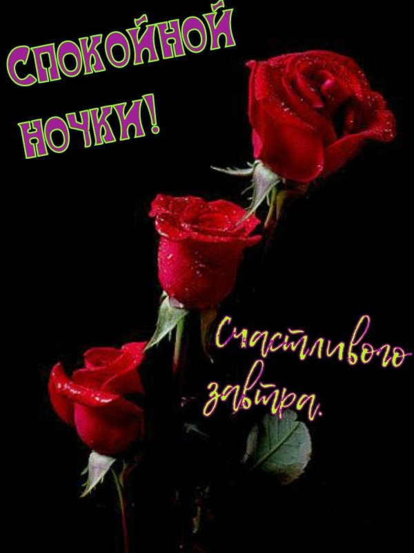 добрый вечер ирочка