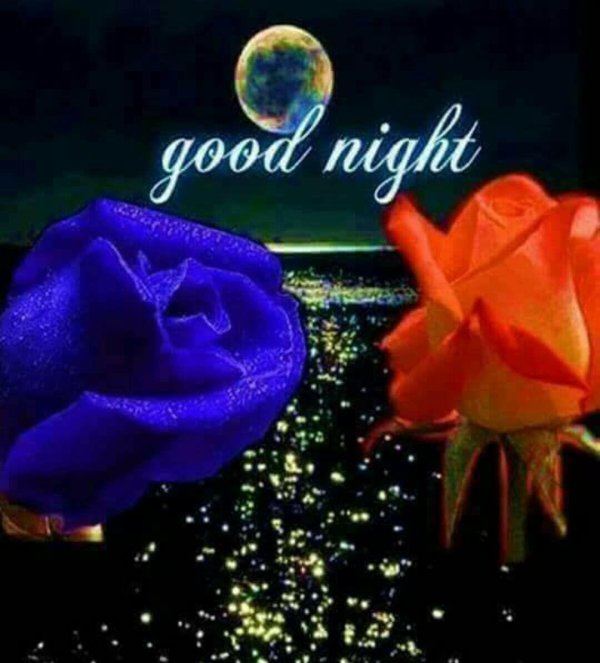 розы спокойной ночи