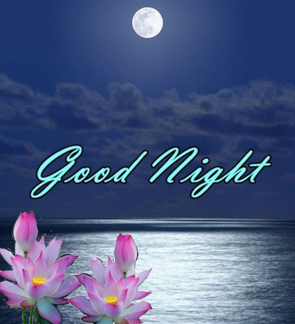 28 лунный день лотос