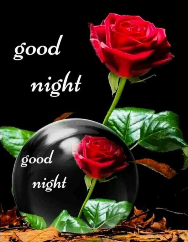 good night wishes