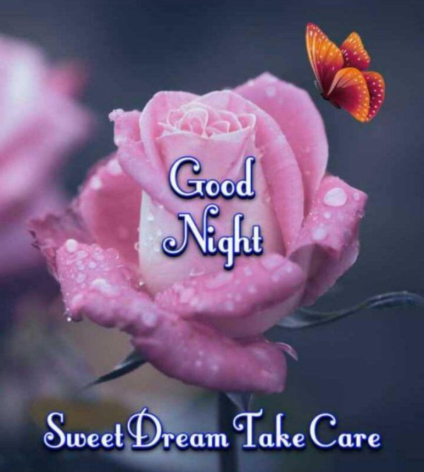 спокойной ночи цветы