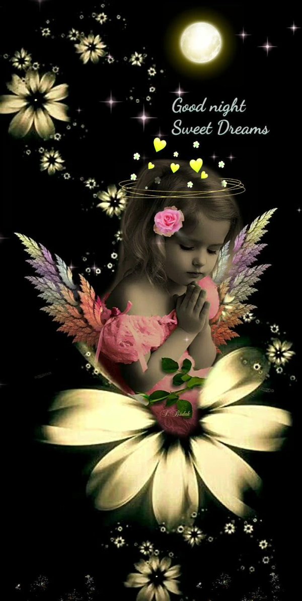 buenas noches dulces sueños