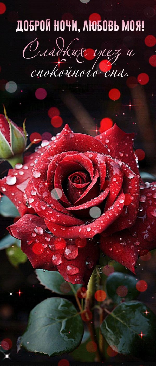 волшебная роза