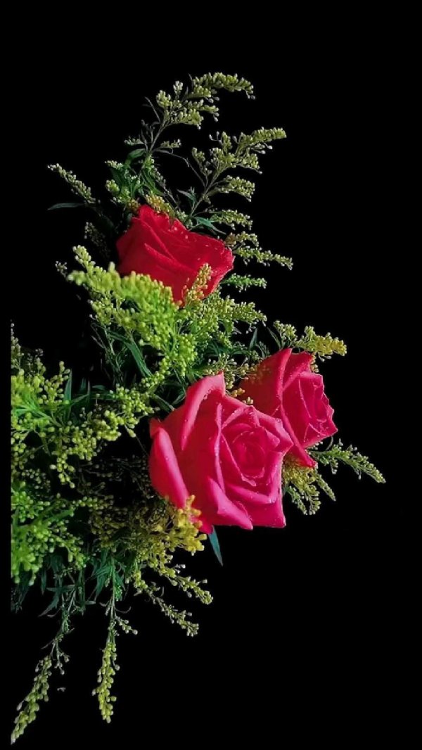 доброго вечера открытка