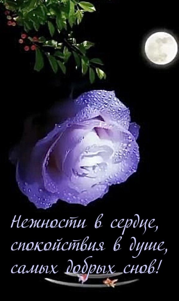 ночной цветок