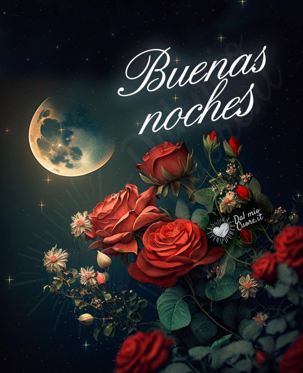 buena noche