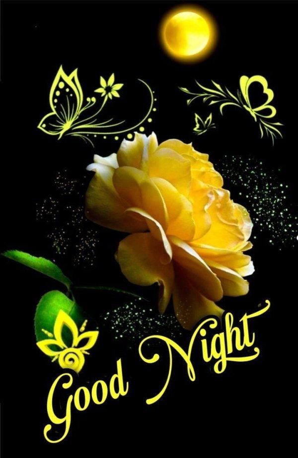 спокойной ночи цветы