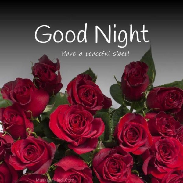 good night wishes