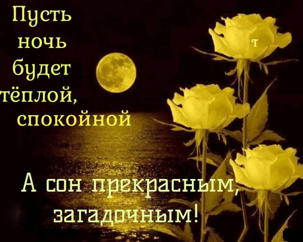 прекрасная ночь