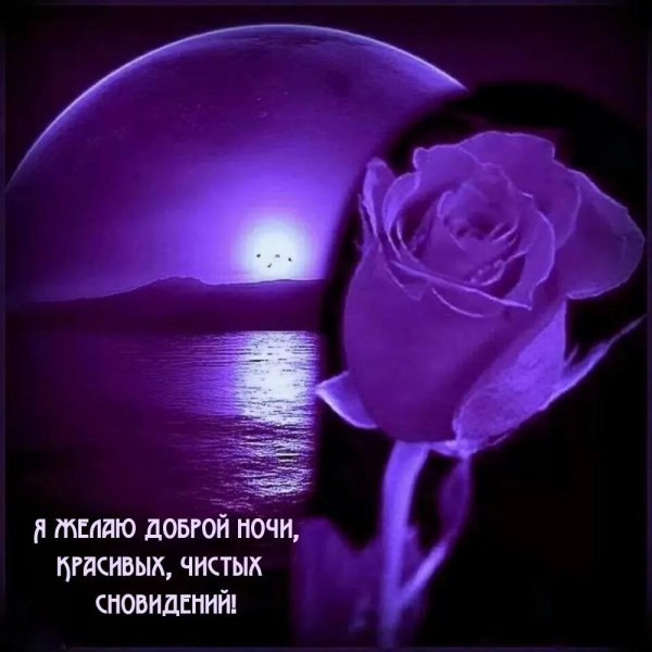 прекрасной доброй ночи