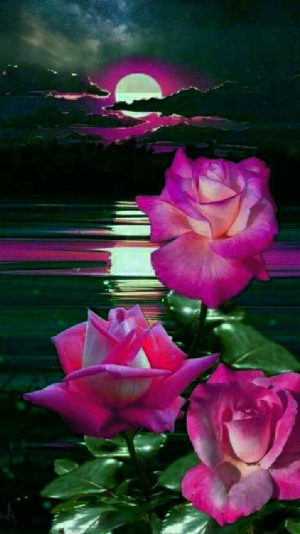 лунные цветы