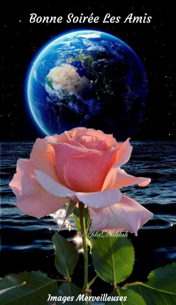 добрая ночь