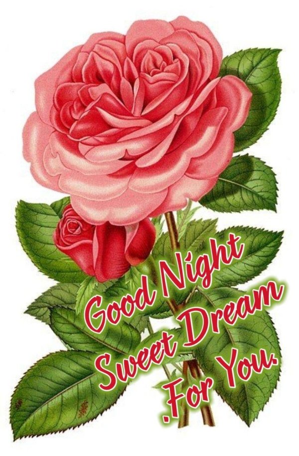 роза рисунки