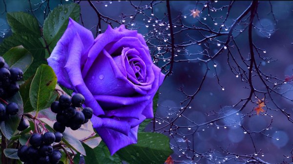 с день рождения мама