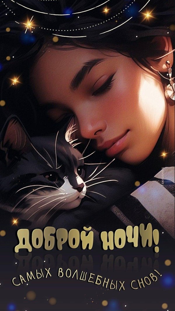 добрая ночь