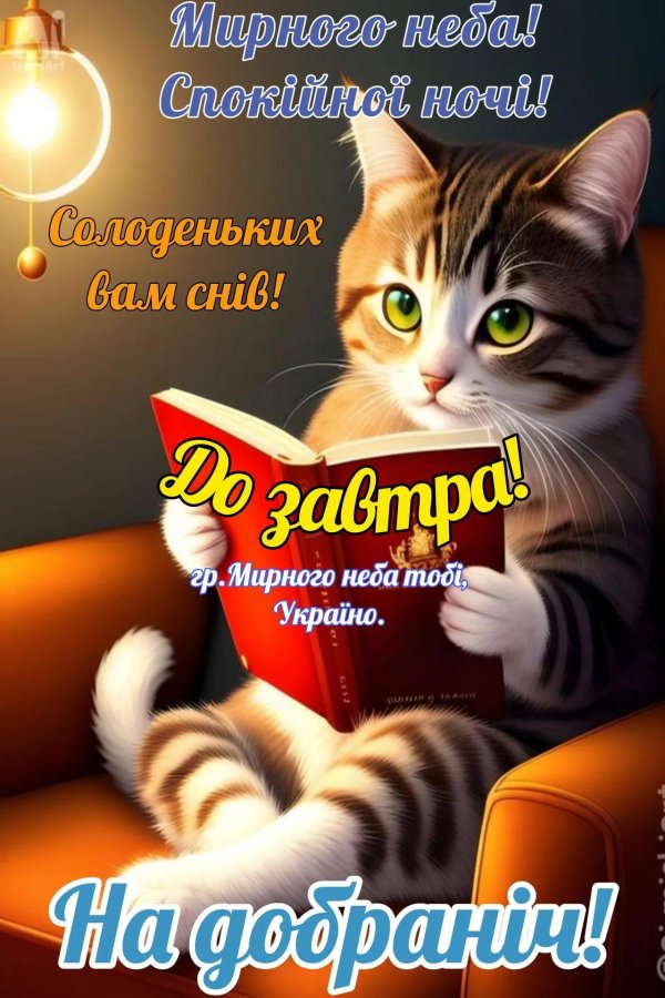 замурчательного настроения