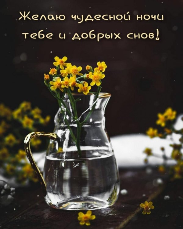 доброго сна