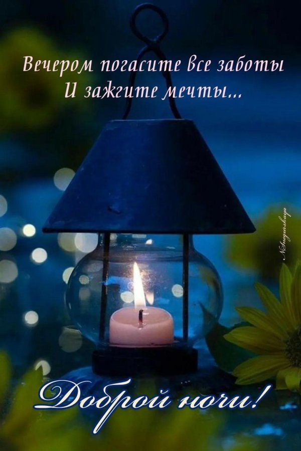 спокойная ночи