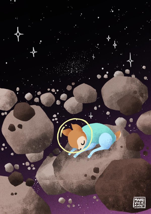 лис в космосе