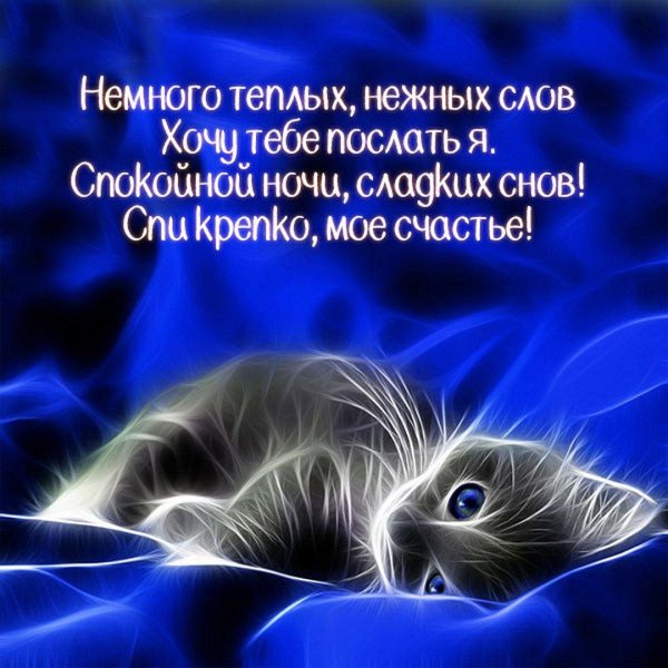 спокойной ночи сладких снов