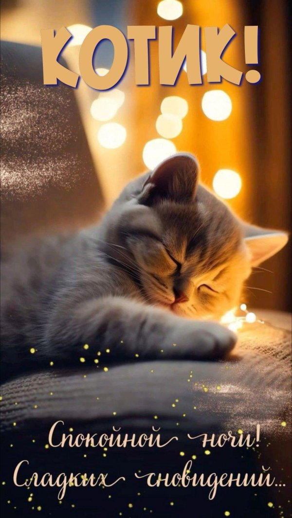 доброй ночи и сладких снов
