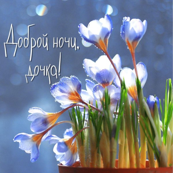 доброй мартовской ночи