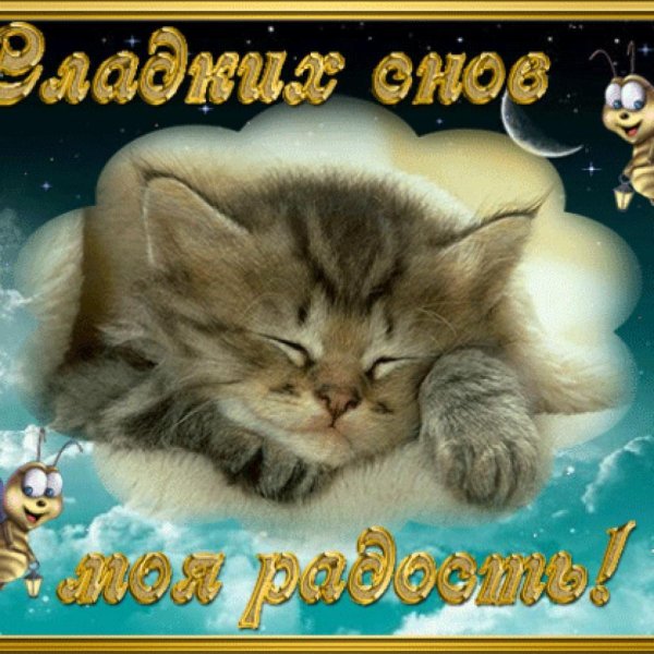спок ночи сладких снов