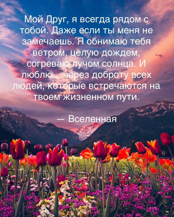 моему другу