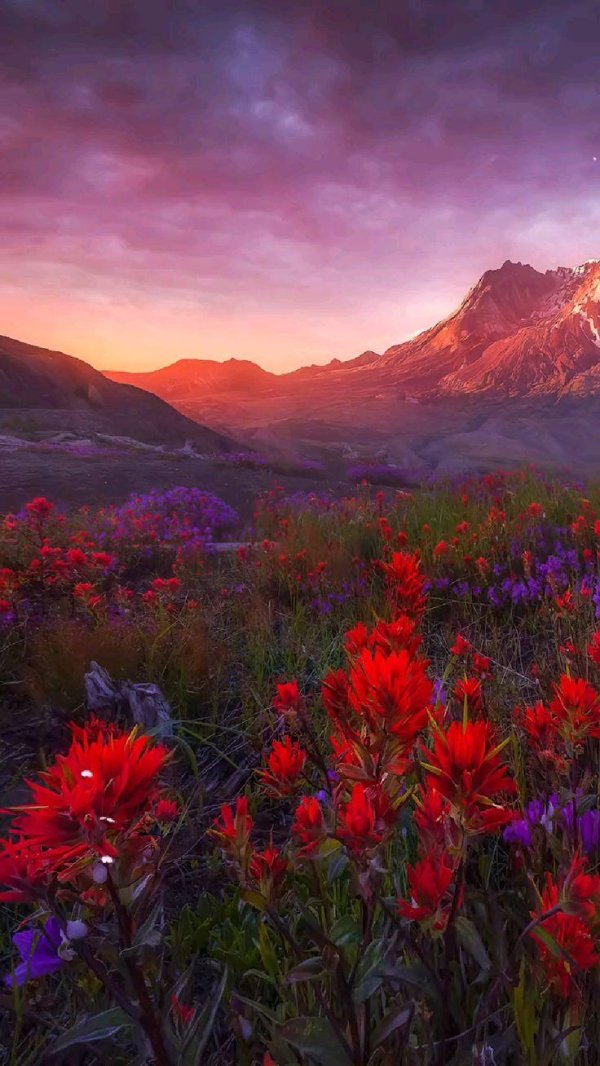 потрясающая красота природы