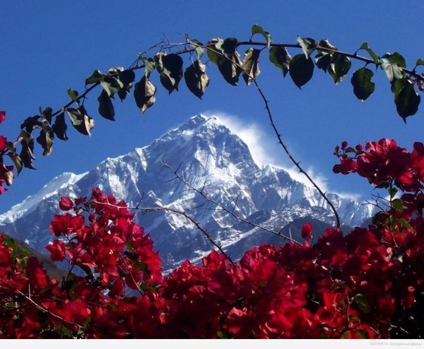 гималаи непал