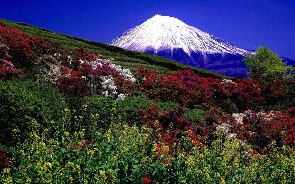 япония фудзияма