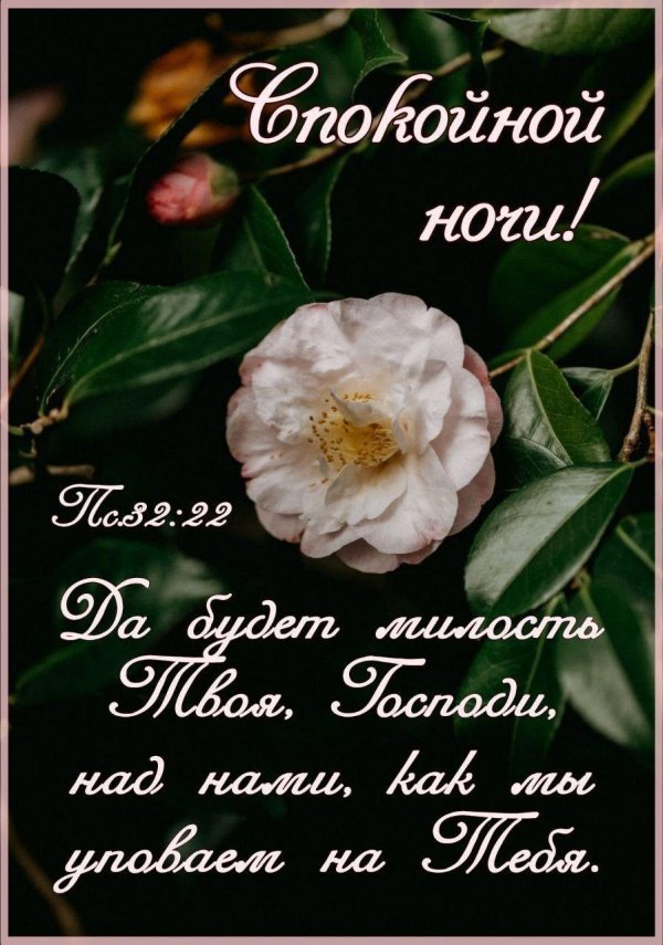 благословенного ночи