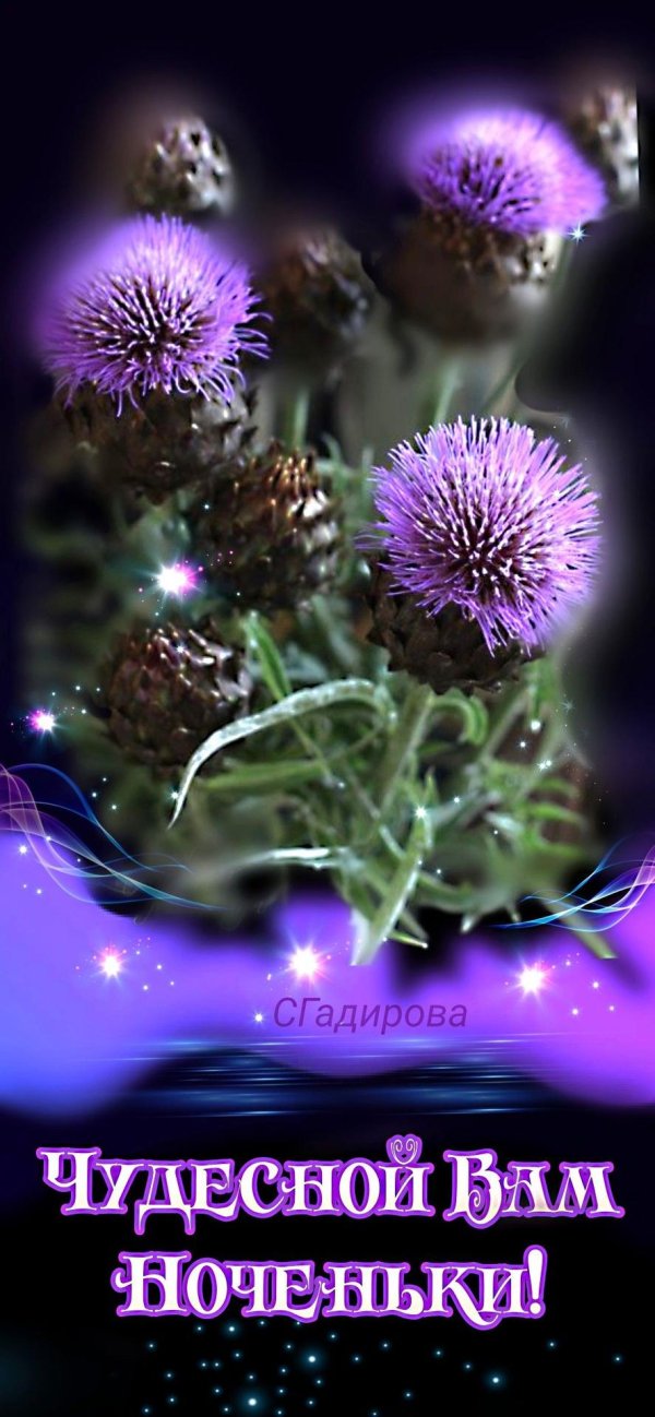 чертополох пурпурный