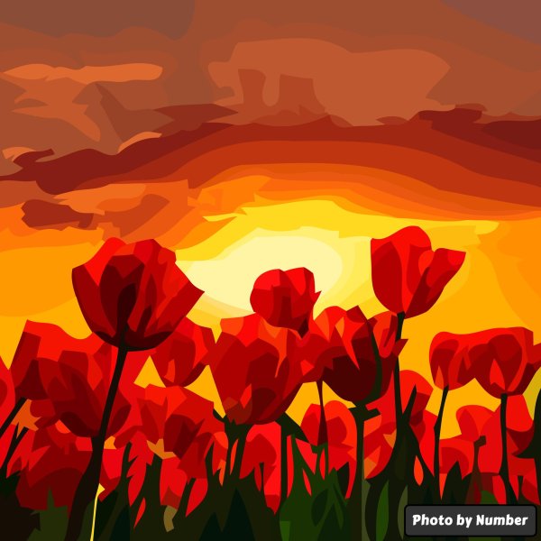 поле тюльпанов