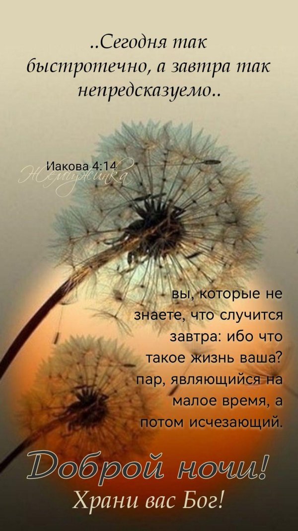 картины одуванчики