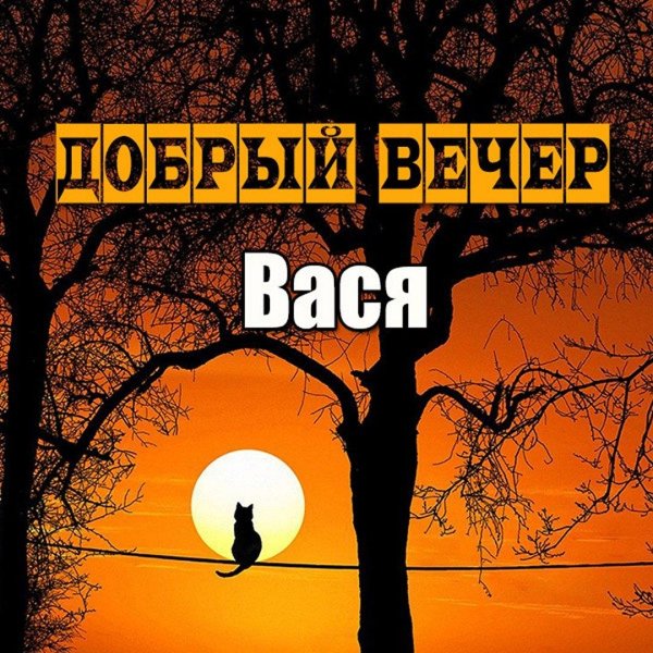 добр вечер