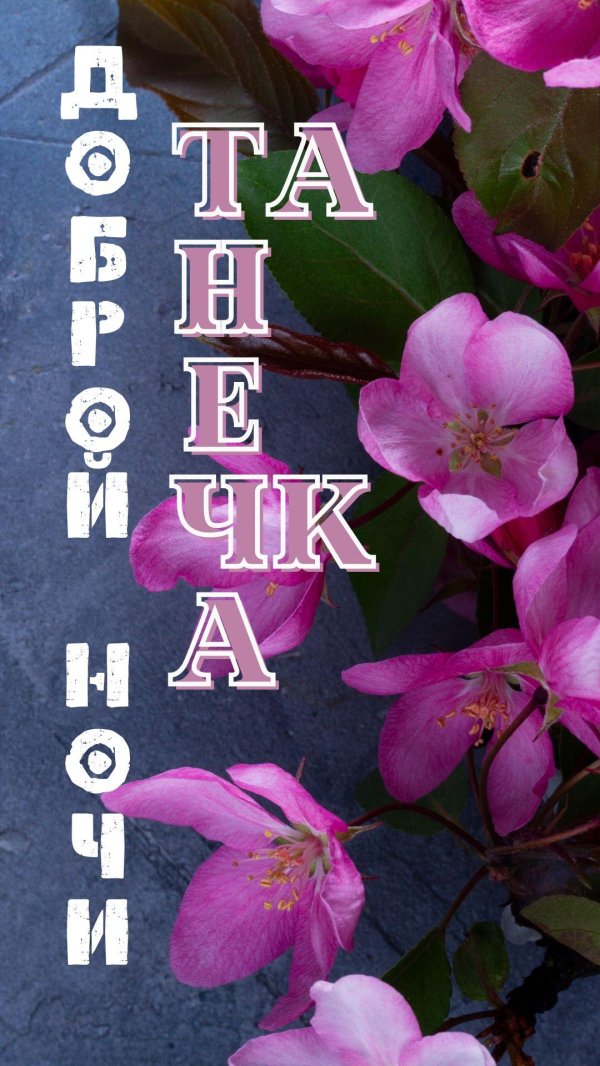 розовая яблоня