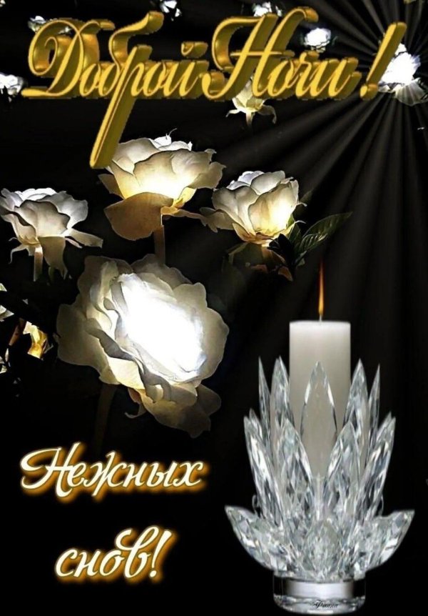 добрейшей ночи