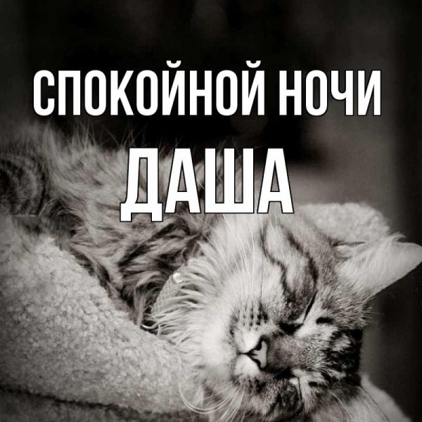 зая спокойной ночи