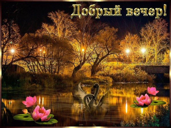 открытки с добрым вечером с природой