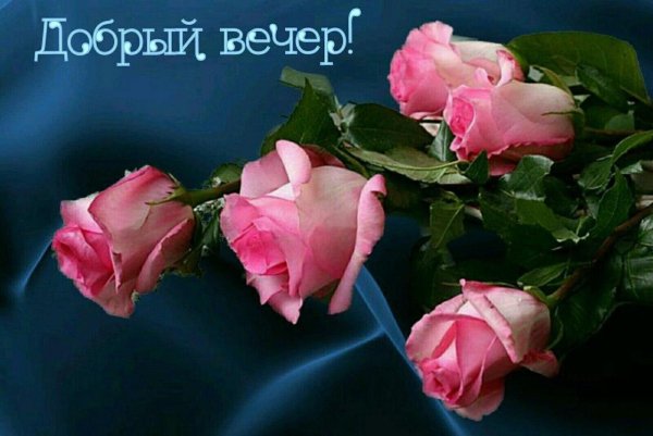 красивая открытка с добрым вечером