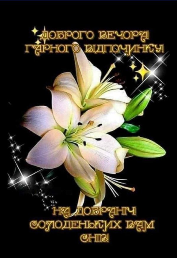 лилии ночью