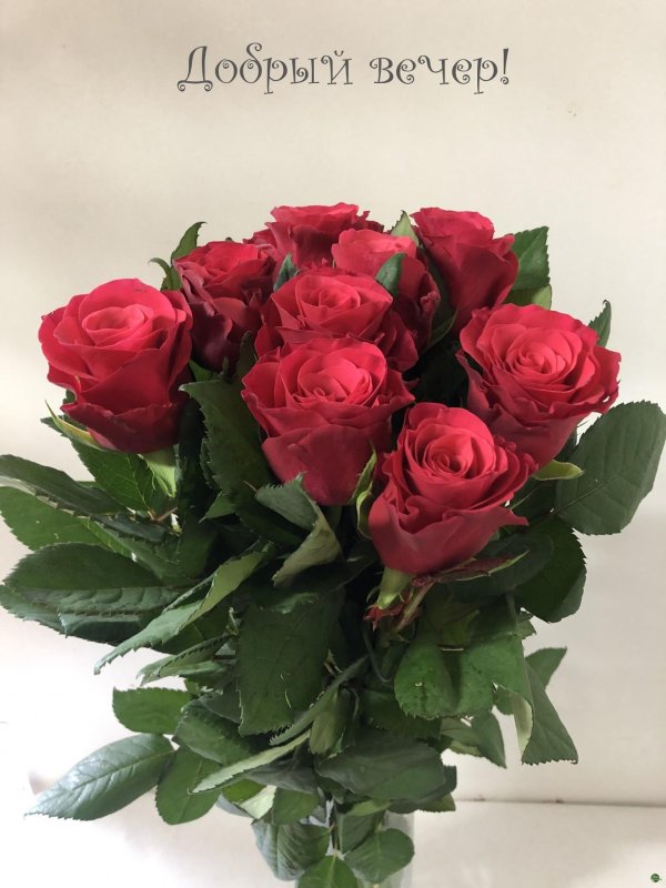 роза букет