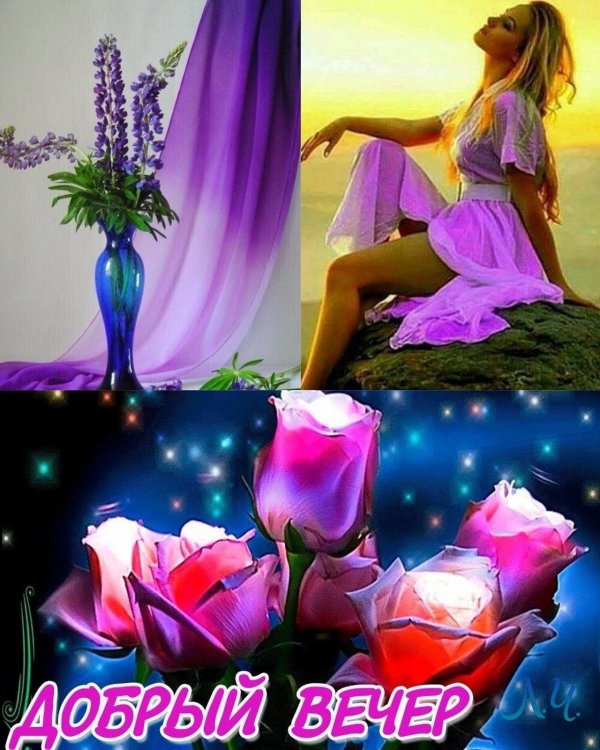 красивого вечера