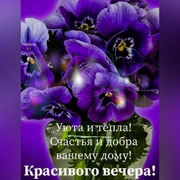 анютины глазки открытки