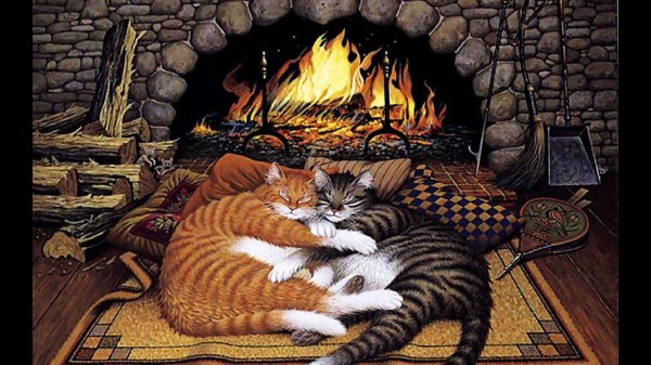 чарльз высоцки коты