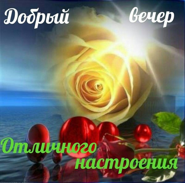 с добрый вечер