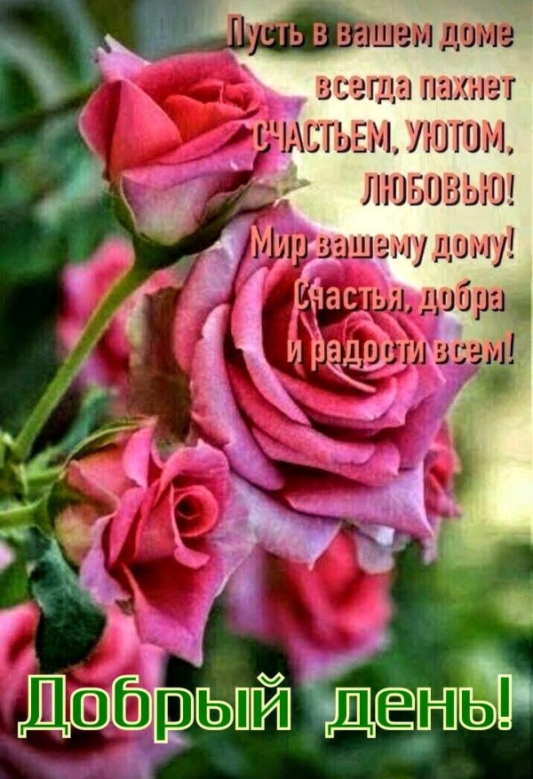 цветы прекрасные